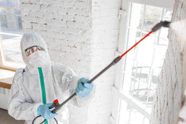 Best Biohazard Mold Removal  in Jarales, NM