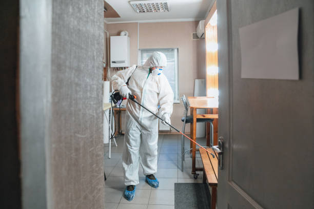 Best Indoor Air Quality Assessment  in Jarales, NM
