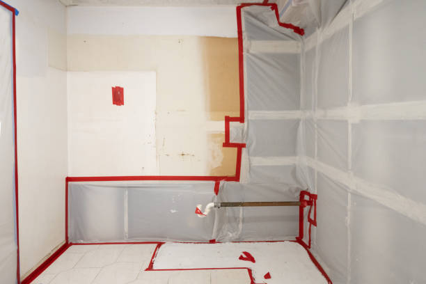 Best Forensic Mold Investigation  in Jarales, NM