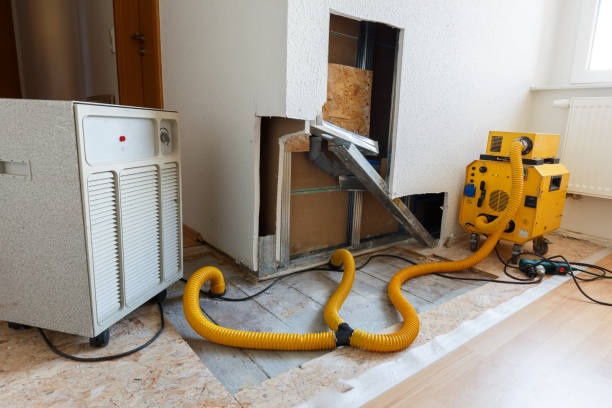 Best Mold Prevention Services  in Jarales, NM