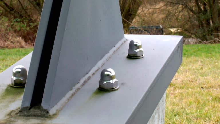 Best Mold Damage Restoration  in Jarales, NM