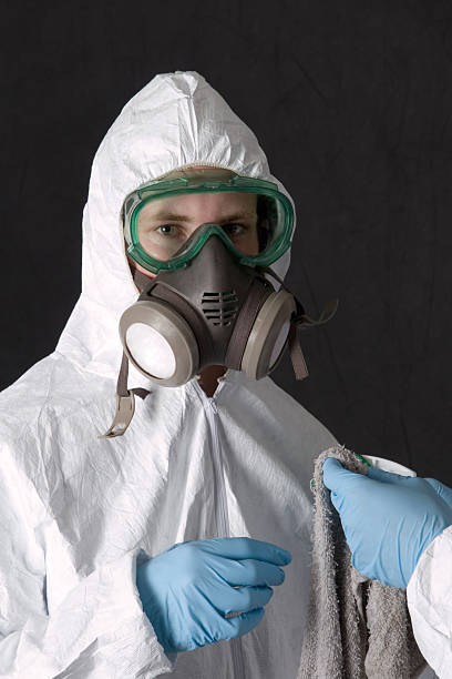 Best Mold Odor Removal Services  in Jarales, NM